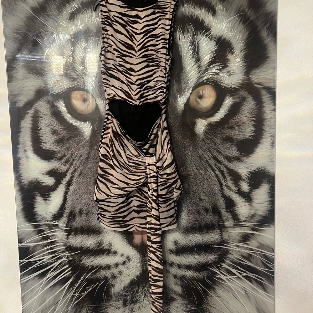 Zara Black and Brown Animal Print Dress